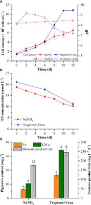 Nitrogen utilization analysis reveals the synergetic effect of arginine and urea in promoting <mark class="highlighted">fucoxanthin</mark> biosynthesis in the mixotrophic marine diatom Phaeodactylum tricornutum